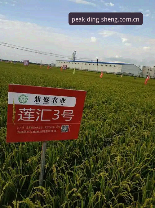 鼎盛中国苹果版 鼎盛体育平台最新动态:鼎盛中国苹果版功能升级,用户体验迎来新突破