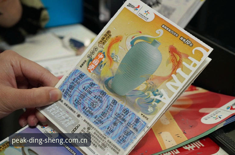 鼎盛体育平台 vs 鼎盛中国官网：哪个更适合你的数字娱乐需求？